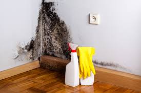 Best Mold Removal for HVAC Installations  in Collinsvle, IL